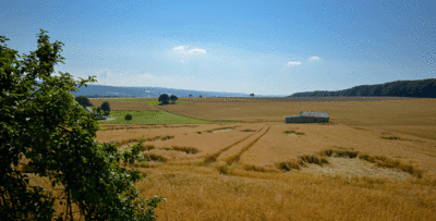 Blick über die Felder bei Ehr