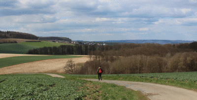 Auf dem Weg von Holzhausen an der Haide zur Plätzer Mühle im Hasenbachtal hat man einen schönen Ausblick bis nach Obertiefenbach