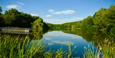 Beruhigender Blick über den Hauserbachsee bei Miehlen