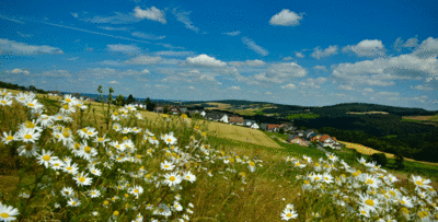 Blick auf Obertiefenbach und darüber hinaus