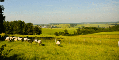 Blick über Welterod und weiter