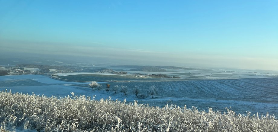 Winter Zuschnitt